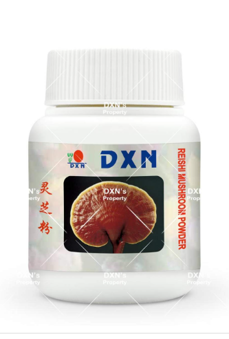 Poudre de Reishi Ganocélium 70g